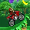 Donkey Kong ATV